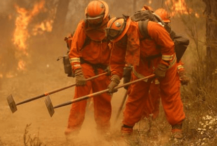 Data Slogs: Creating Alignment for Ops Teams