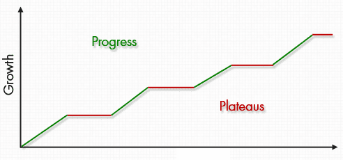 On The Path To Achieving Mastery